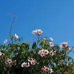 Сasa de vacaciones In Der Und Nah Am Meer: Casa Sul *