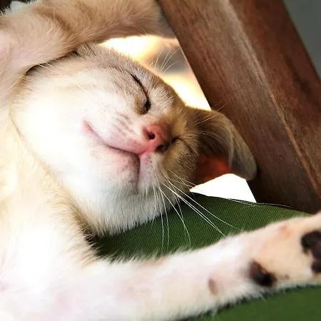 In Der Und Nah Am Meer: Casa Sul Casa vacanze