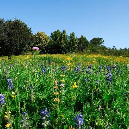 In Der Und Nah Am Meer: Casa Sul *