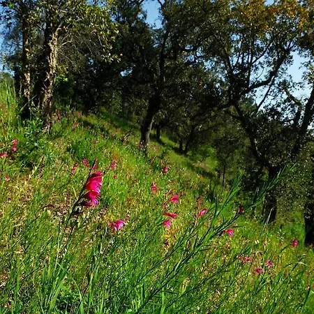 Casa vacanze In Der Und Nah Am Meer: Casa Sul *