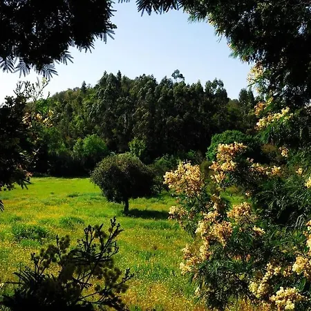 In Der Und Nah Am Meer: Casa Sul Σπίτι διακοπών Aljezur