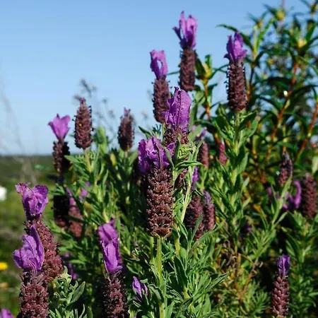 Casa vacanze In Der Und Nah Am Meer: Casa Sul