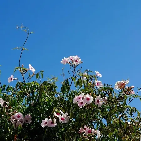 Casa vacanze In Der Und Nah Am Meer: Casa Sul *