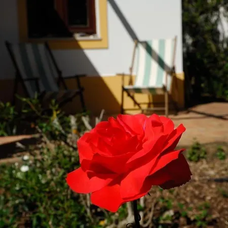 In Der Und Nah Am Meer: Casa Sul Aljezur