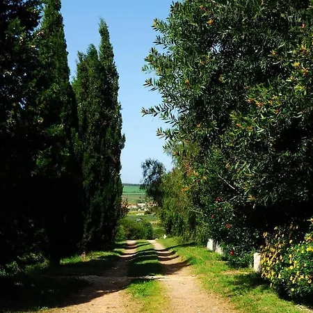 In Der Und Nah Am Meer: Casa Sul Casa vacanze