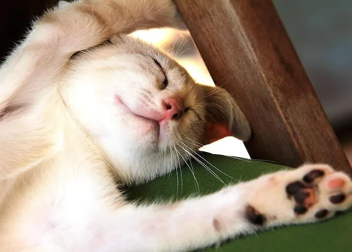 In Der Und Nah Am Meer: Casa Sul Dom wakacyjny