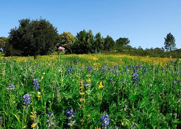 In Der Und Nah Am Meer: Casa Sul *