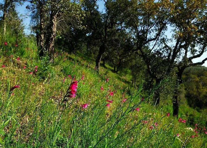 Dom wakacyjny In Der Und Nah Am Meer: Casa Sul *
