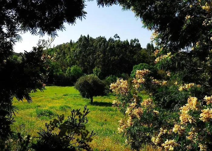 In Der Und Nah Am Meer: Casa Sul Dom wakacyjny Aljezur