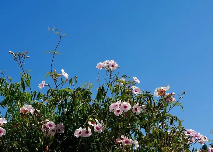 Dom wakacyjny In Der Und Nah Am Meer: Casa Sul *