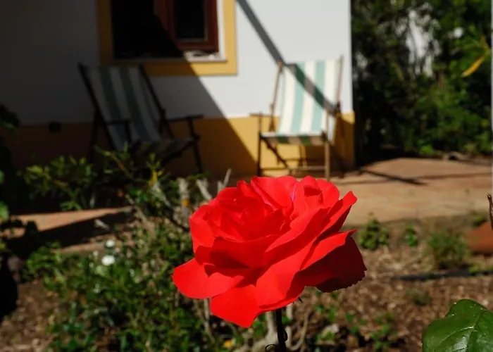 In Der Und Nah Am Meer: Casa Sul Aljezur